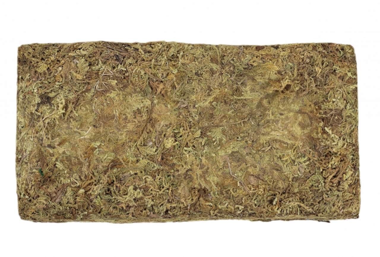 Trocken-Moos 100g